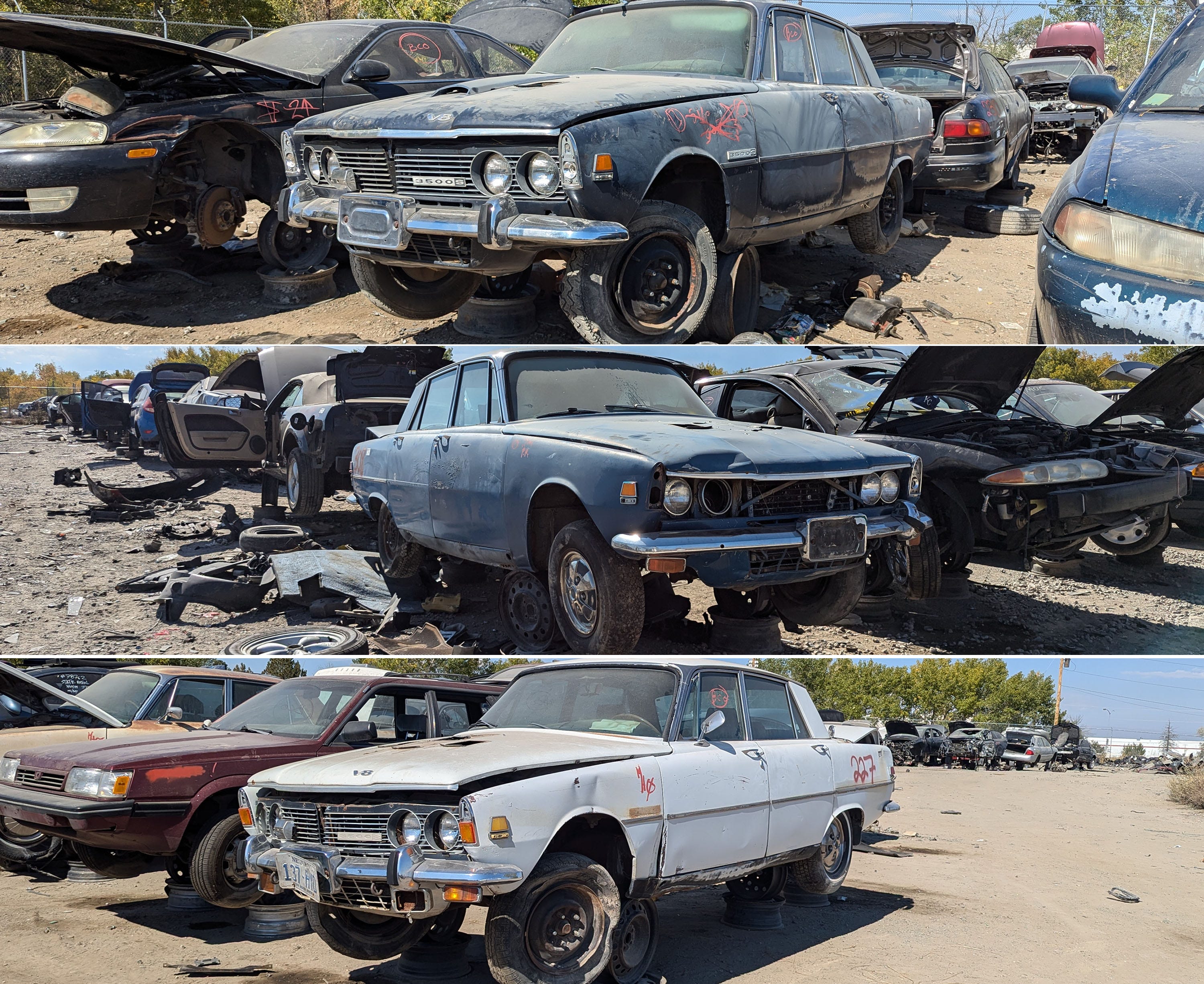 These Three 1970 Rover 3500s Are Junkyard Treasure