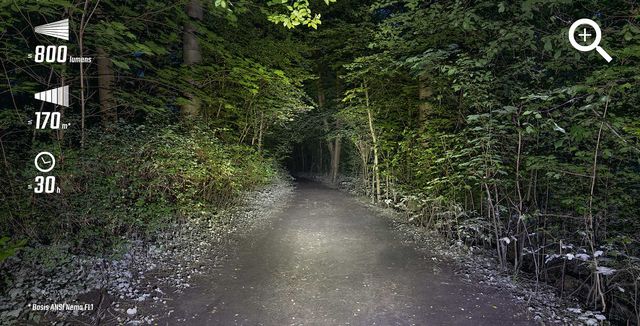 een bospad verlicht door een fietslicht