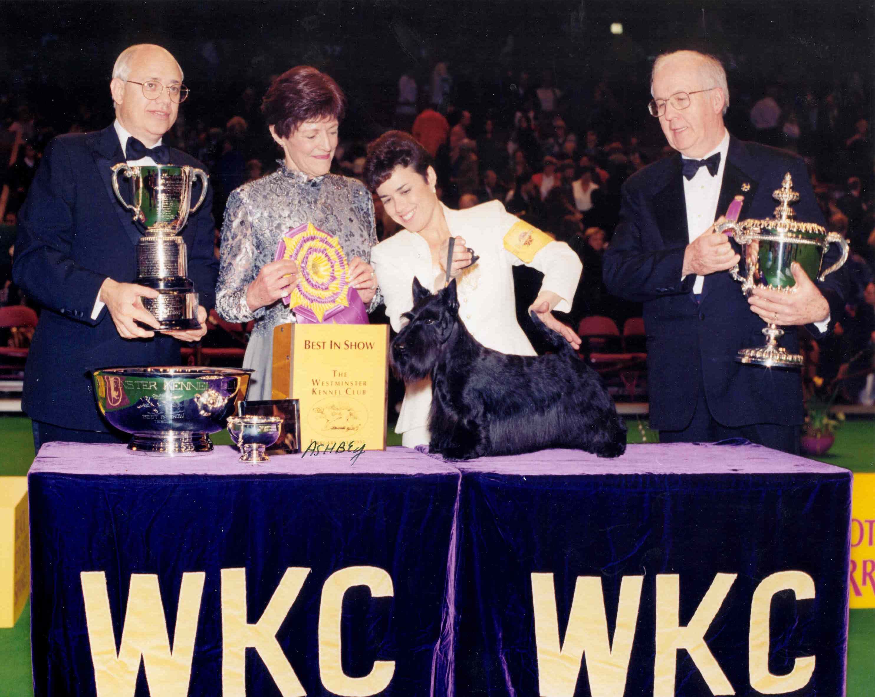 Westminster Dog Show Winners Photos Of The Winners Throughout The Years