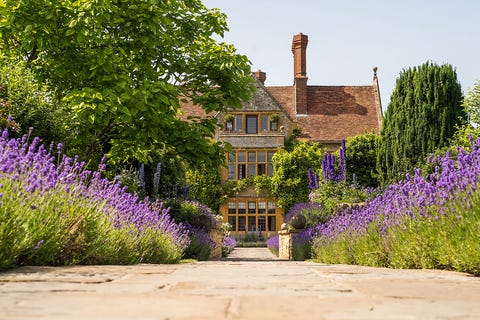 foodie things to do in oxford belmond le manoir