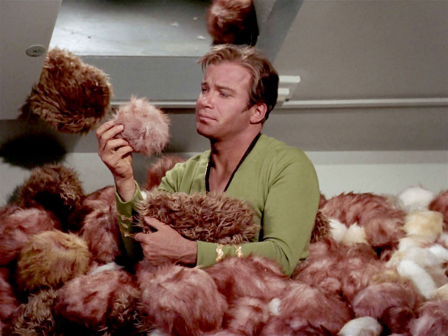 Tribbles - Tribbles from Star Trek - Tribbles Math Problem