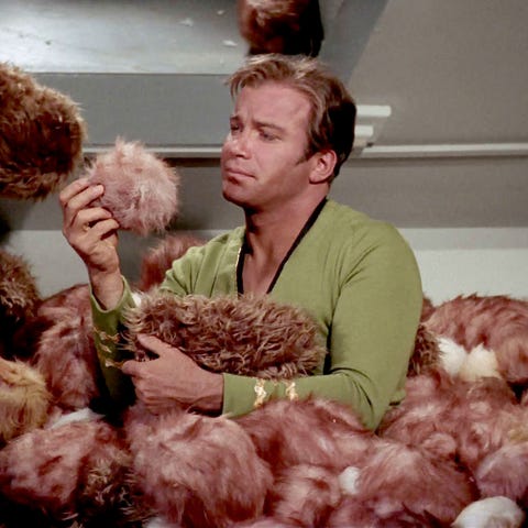 1kirk-tribbles-1582642658.jpg