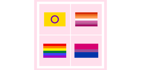 13 Lgbtq Flags All Lgbtq Flags Meanings Terms