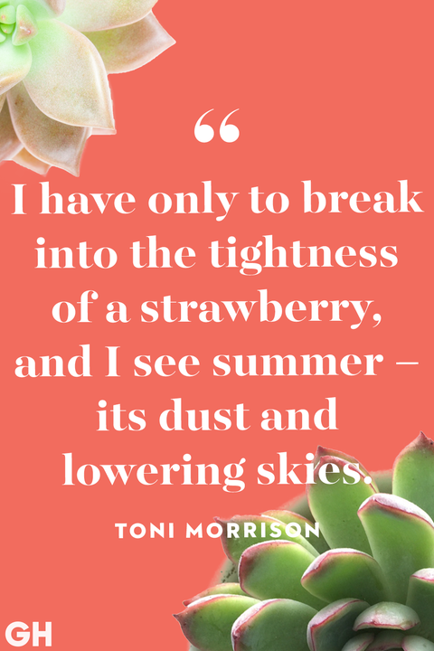 40 Best Summer Quotes Short Happy Sayings About Summertime