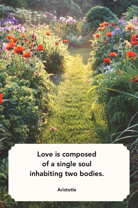 Aristotle Valentines Day Quotes Aristotle Valentines Day Quotes