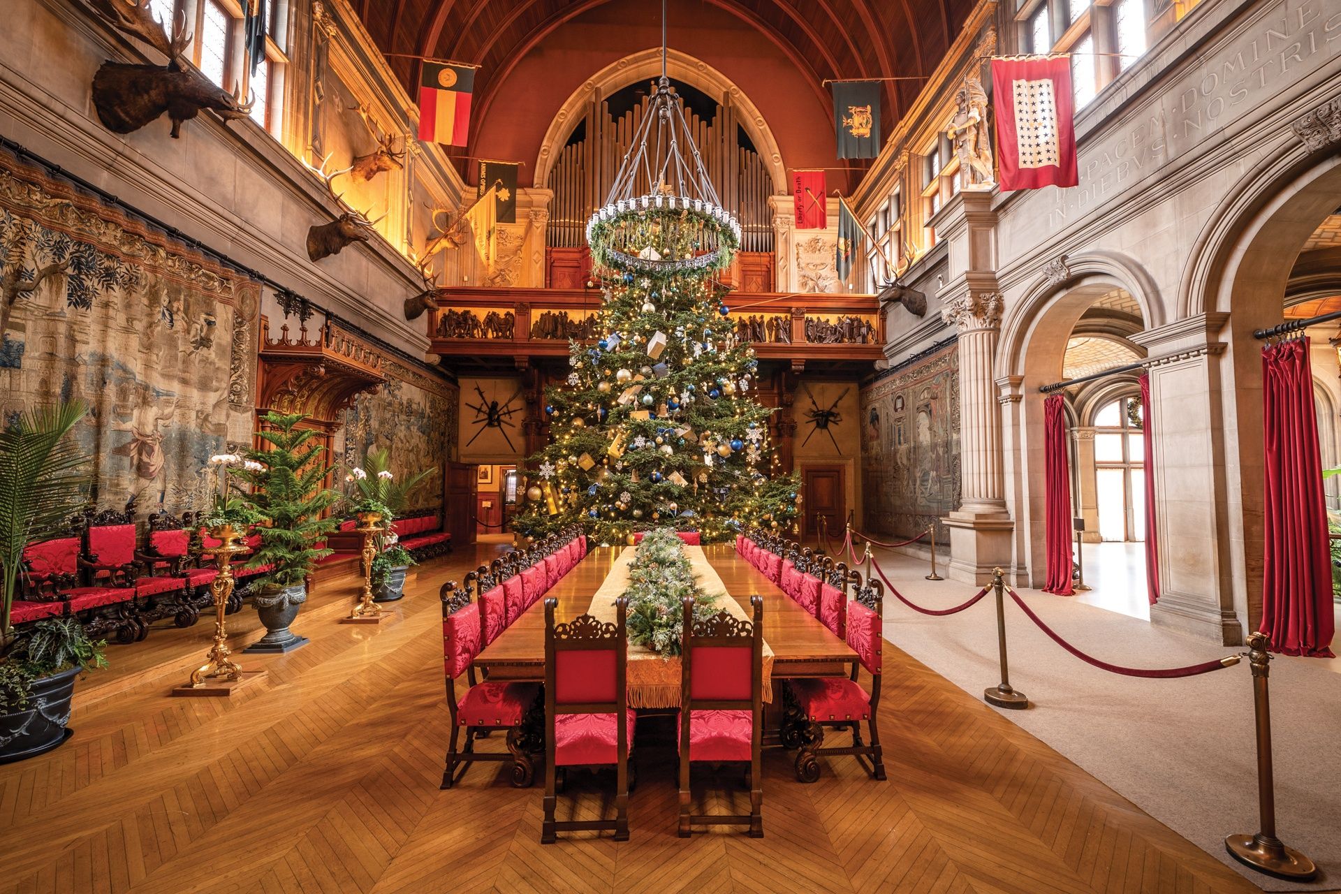 What To Do At The Biltmore Estate During Christmas 2019 6 Activities At The Biltmore Estate