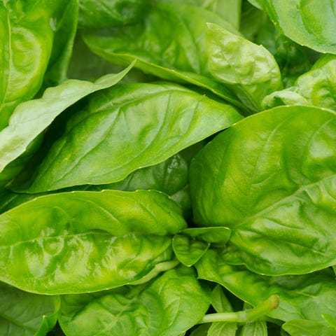 spinach leaves