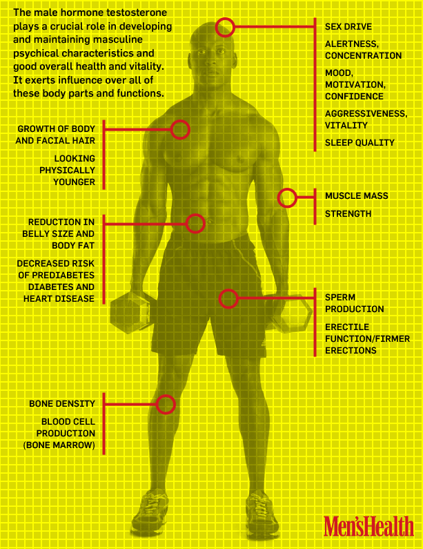 Do You Have Low Testosterone? Men's Health