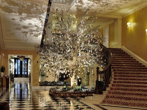 Lobby, Lighting, Tree, Wall, Ceiling, Architecture, Building, Chandelier, Light fixture, Room, 