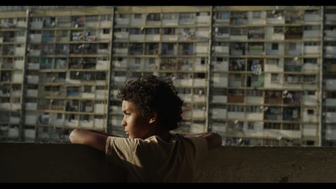 películas festival san sebastiám ganadoras concha de oro