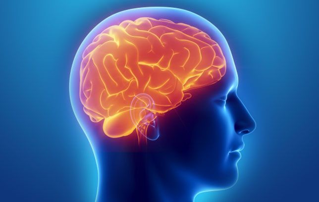 Healthy Brain Tips: Men&#39;s Health.com