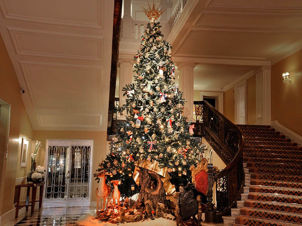 40 Best Christmas Trees Ever - White House, Rockefeller Center &amp; More  Dazzling Decorated Trees