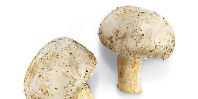 Button Mushroom Nutrition Facts Button Mushroom Nutrition Facts