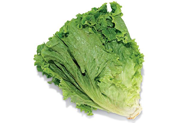 Green Leaf Lettuce Nutrition Facts