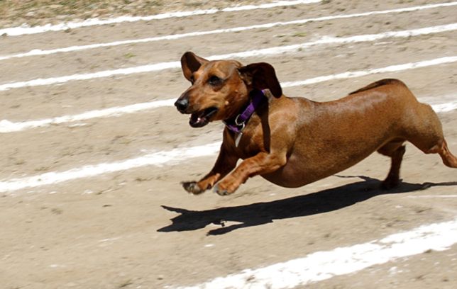 Lose fat on legs fast photo 6