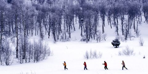 skiing-adventure.jpg