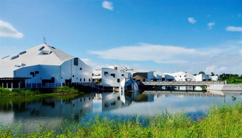 盤點全台9大必訪絕美綠建築景點!與生態共存、融合在地人文的鑽石級綠建築一次看 台江國家公園行政中心
