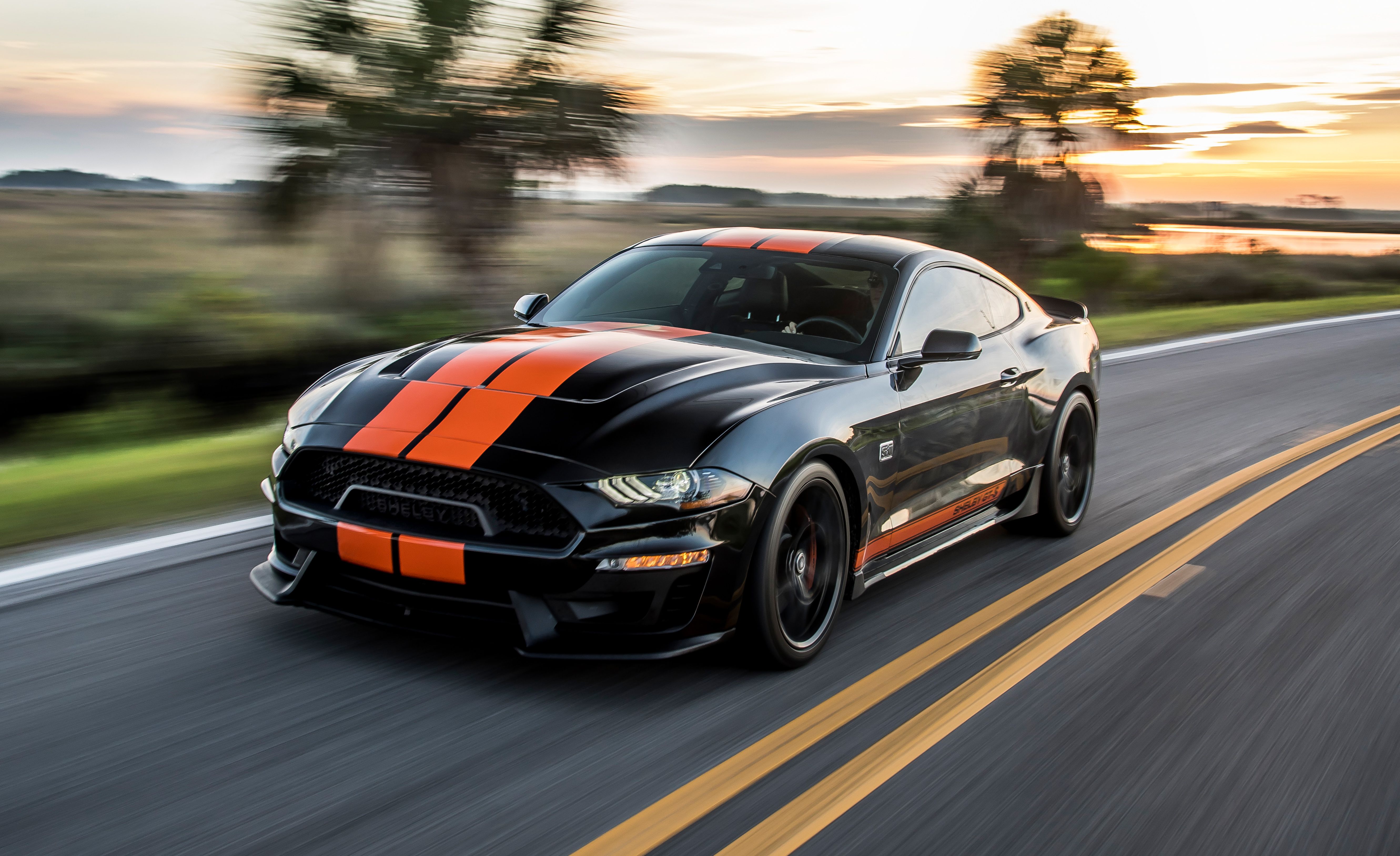 2019 Ford Mustang Shelby Gt S Is A Rental Car We Can Dig