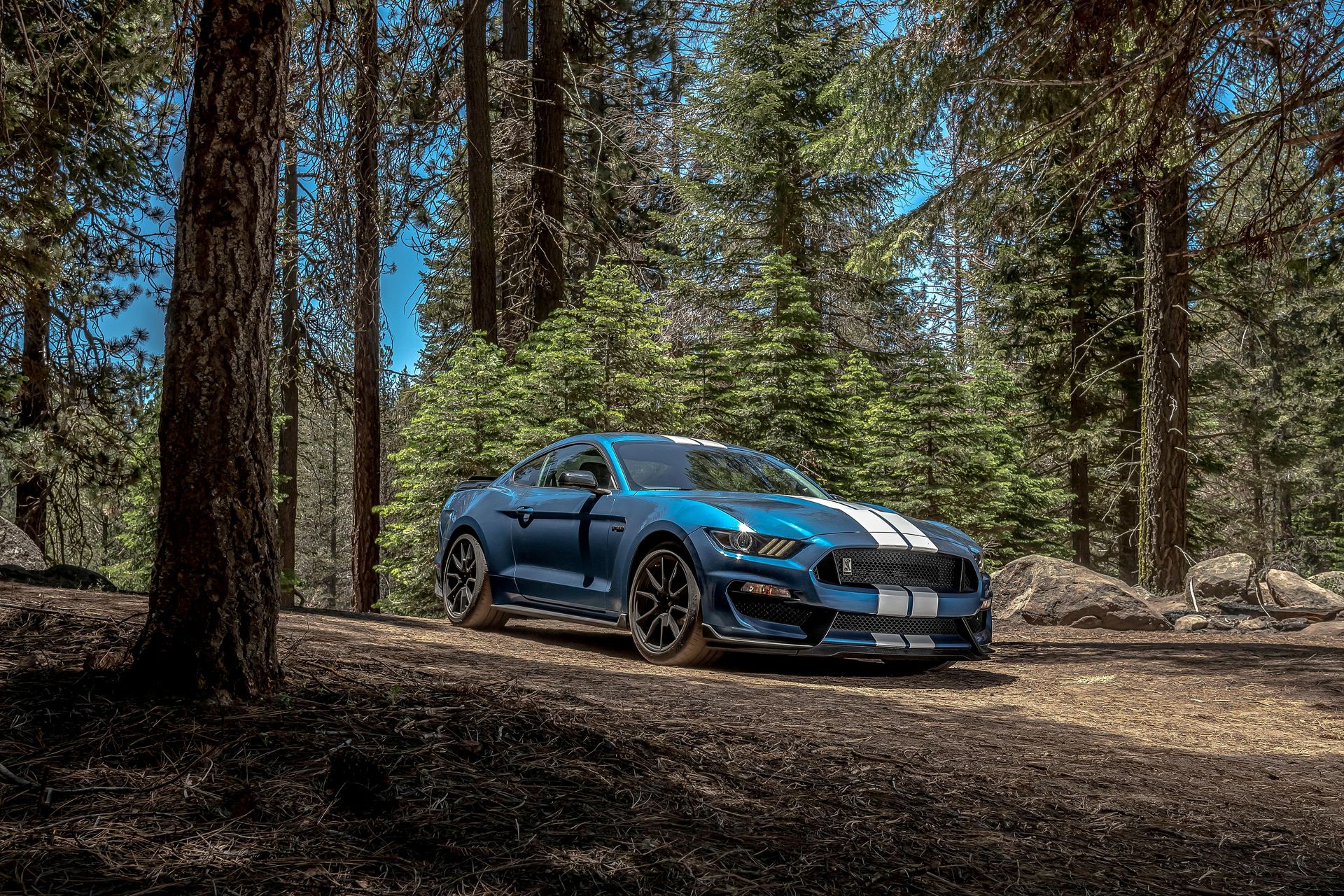 2019-ford-mustang-shelby-gt350-comparison-104-1569444851.jpg