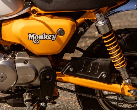 19 Honda Monkey Does Basic Two Wheeled Fun 19 Honda Monkey Does Basic Two Wheeled Fun