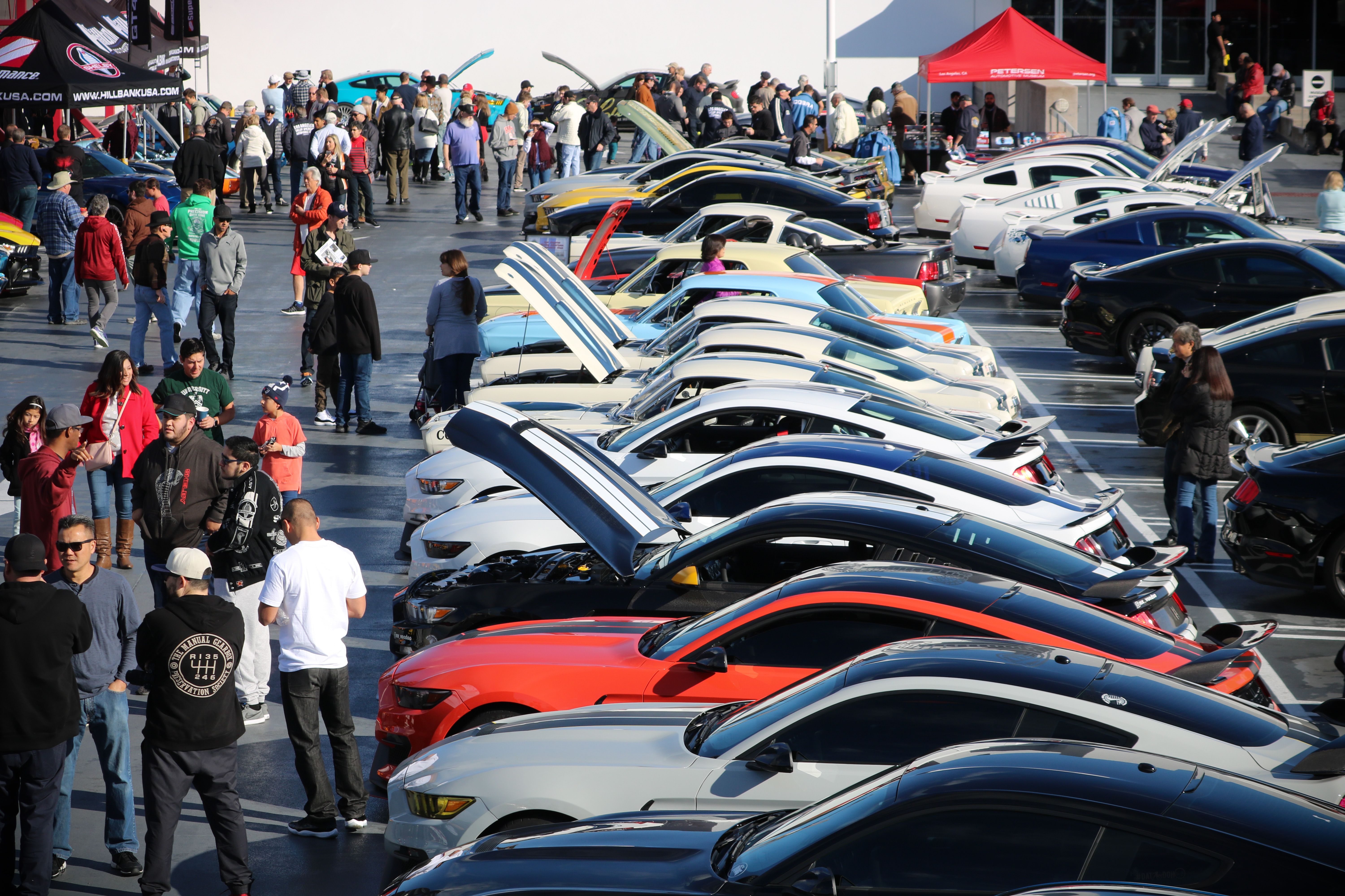 Carroll Shelby Tribute Event Ford Mustangs Cobras Classic Cars