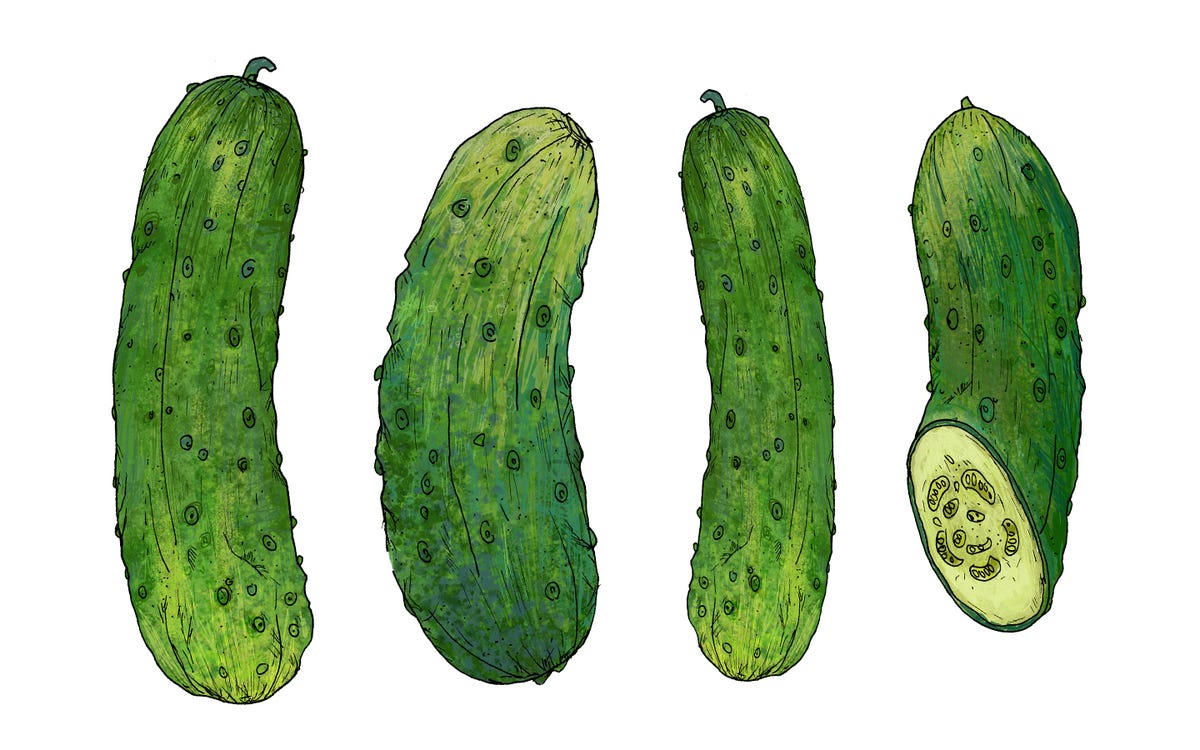 Kitchen-garden diary: in praise of the cucumber