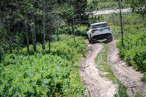 Off-roading, Vehicle, Vegetation, Regularity rally, Car, Off-road vehicle, Trail, Dirt road, Plant community, Nature reserve, 