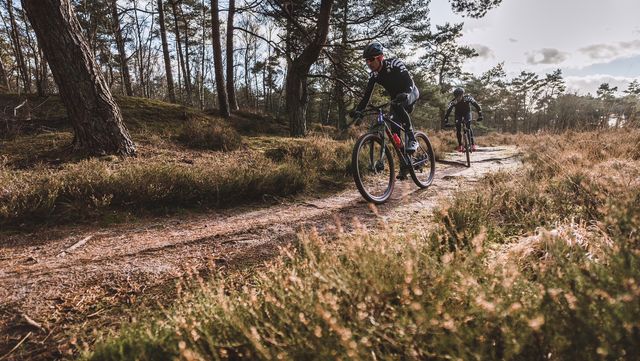 twee mountainbikers van bicycling in het bos in drenthe