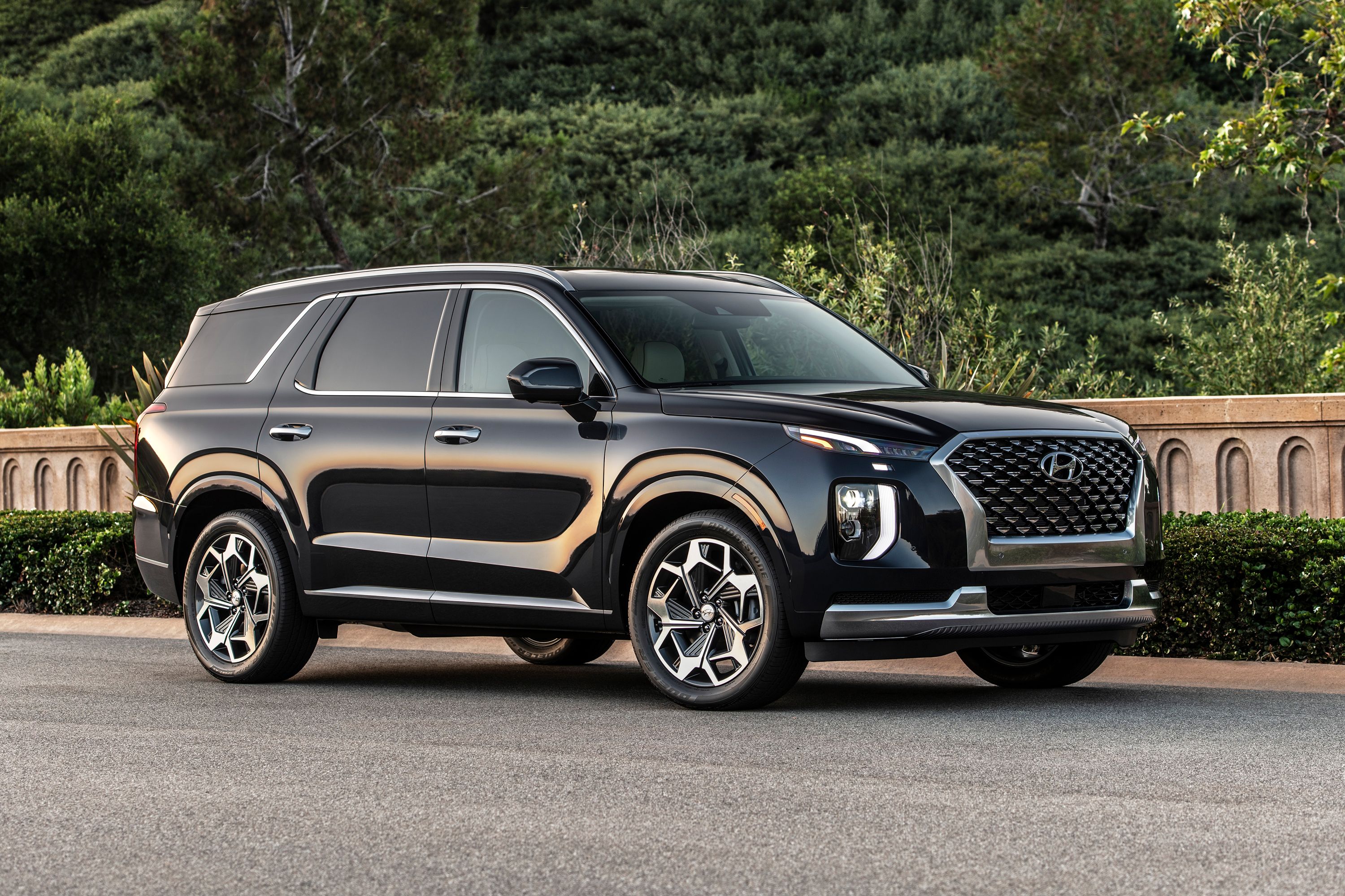 Vanessa Rowe Hyundai Palisade Ultimate Features