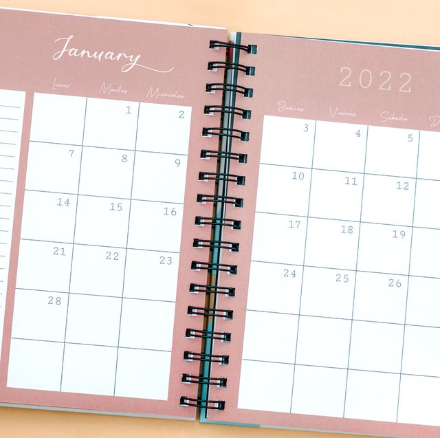 january 2022 calendar open in daily planner