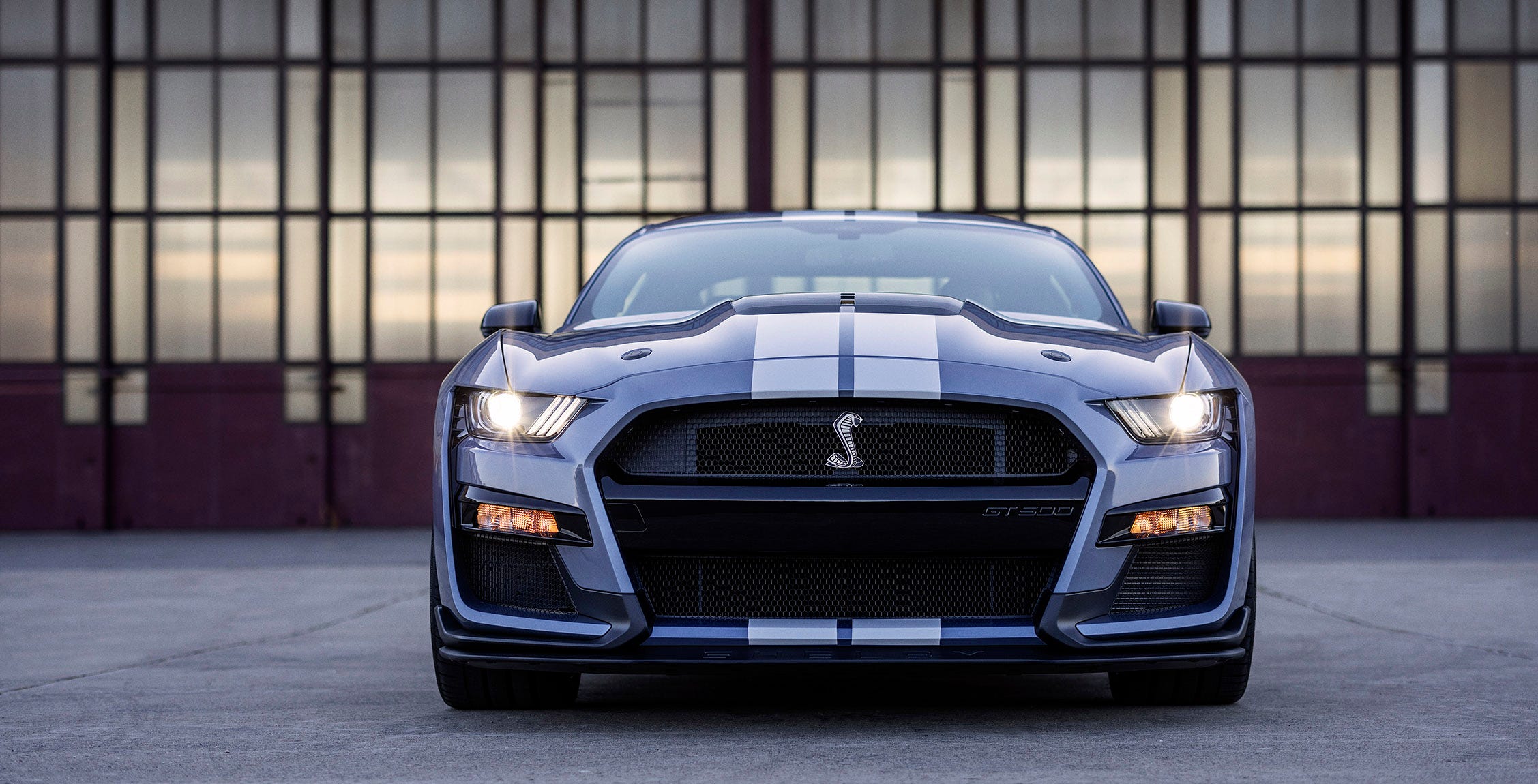 mustang 2022 cobra