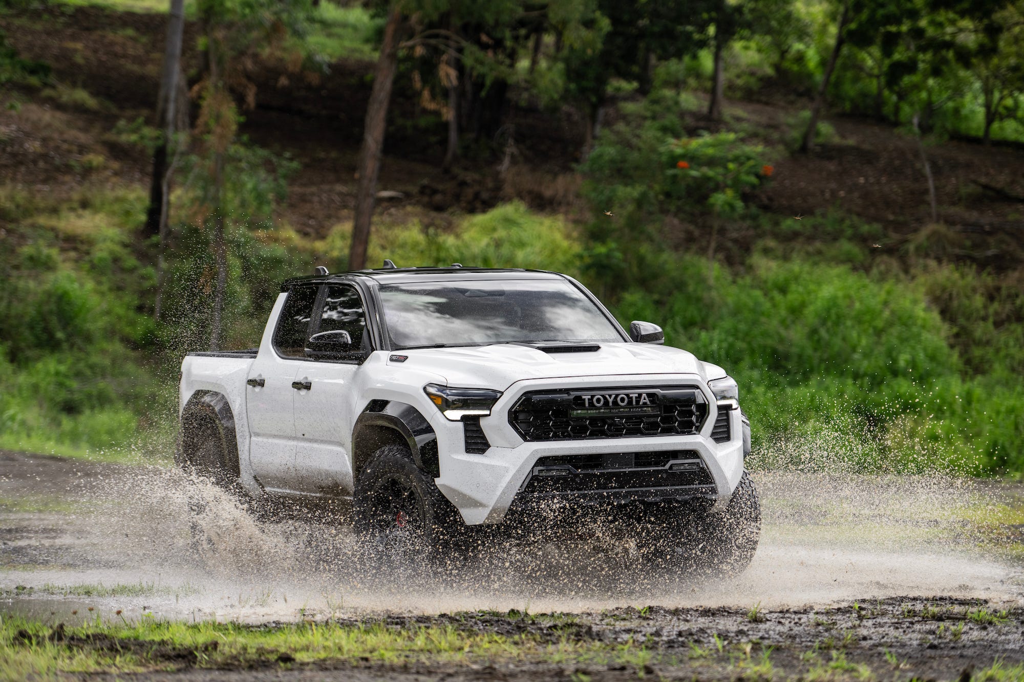 Toyota Cannot Screw Up the Tacoma