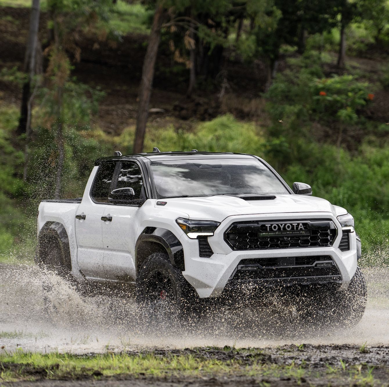Toyota Cannot Screw Up the Tacoma