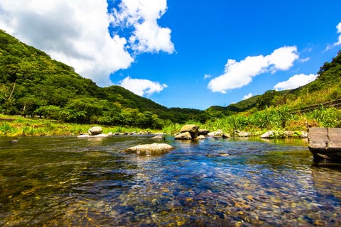 全台14座國家森林遊樂區推薦!走訪台灣最美後花園、絕美夜觀仙境,來場大自然治癒之旅