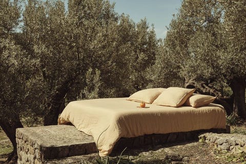 Mango Home mango home