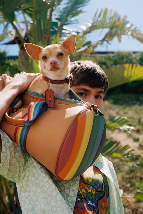 coach, pride is where you find it, pride 2021, pride month, miles heizer, 13 reasons why