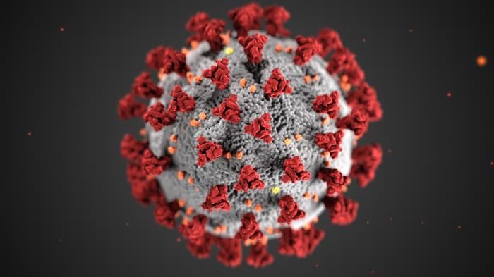How Illustrators Created the Iconic Coronavirus Image