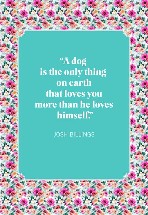 30 Best Dog Quotes - Cute Quotes and Sayings About Dogs