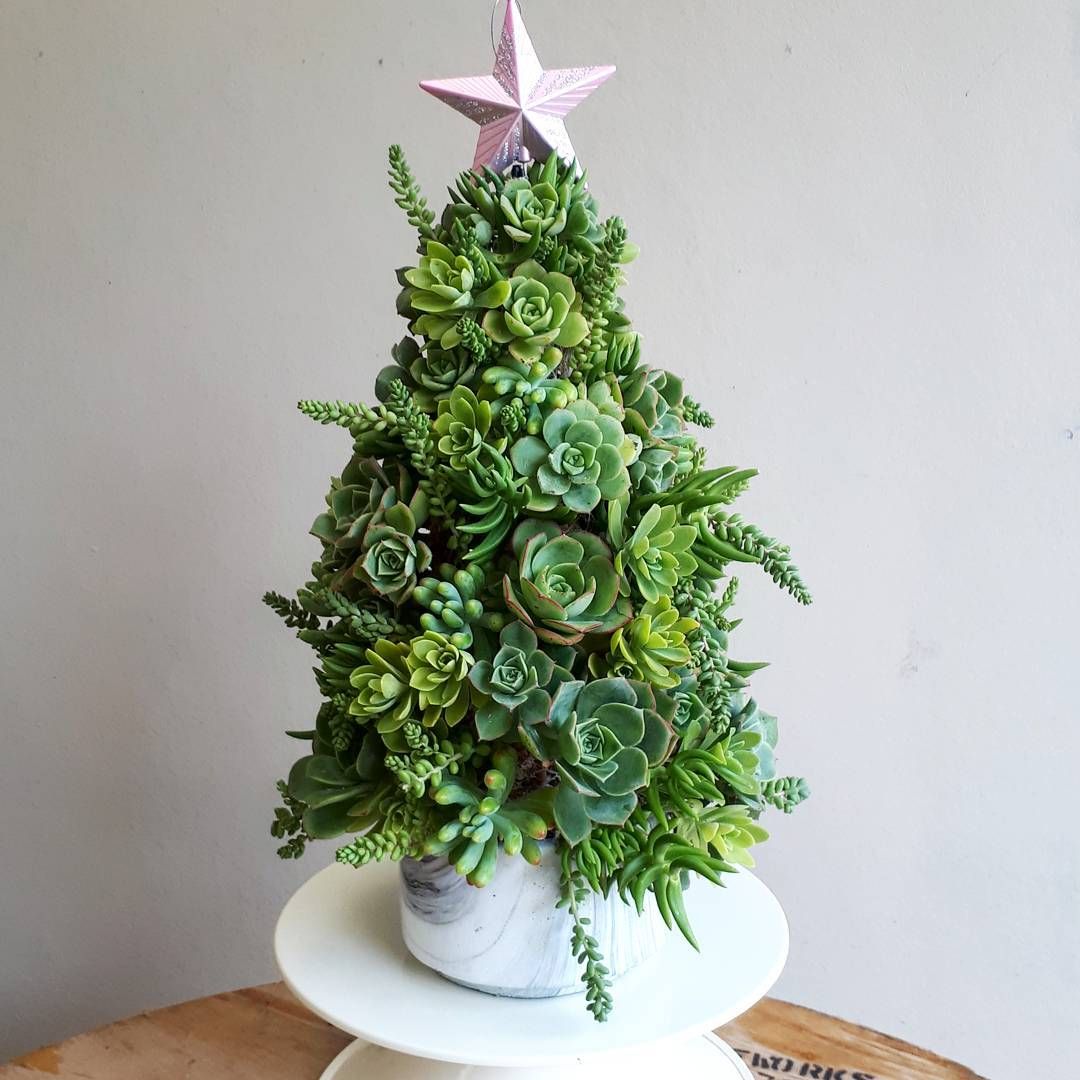 unusual christmas trees