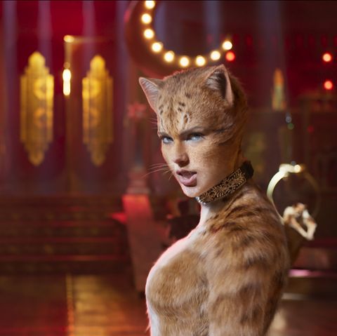Whiskers, Photography, Fictional character, Screenshot, Cat, Fur, Fawn, Performance, 