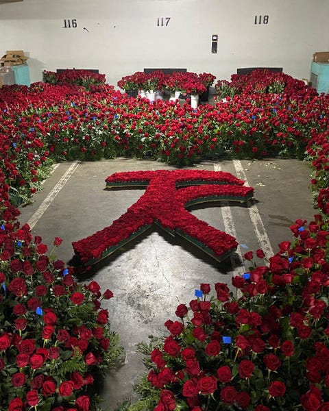 kourtney kardashian roses