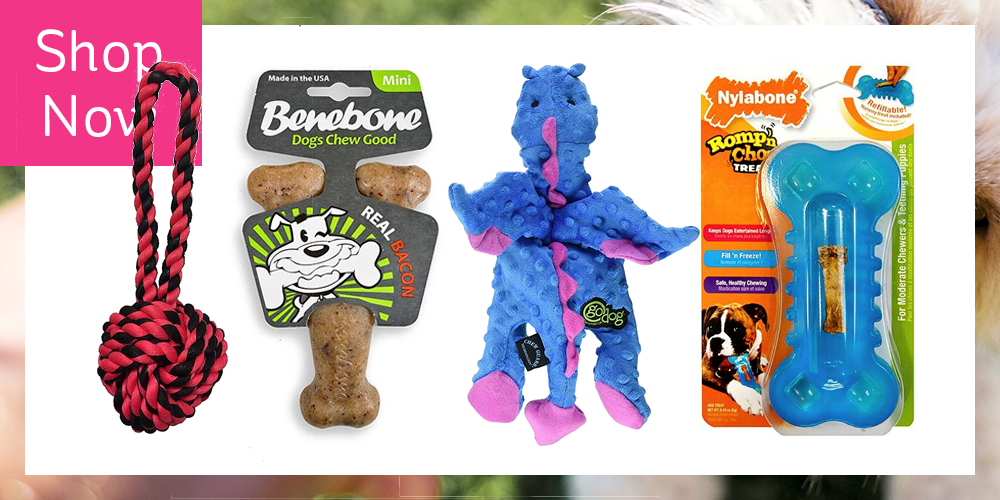 indestructible soft toys for dogs