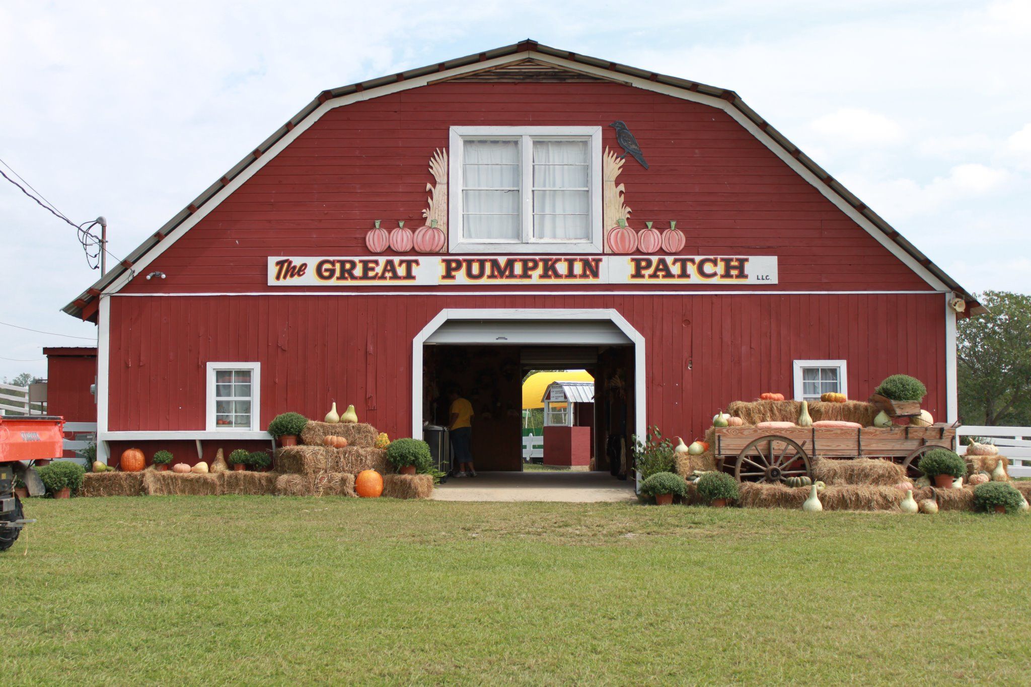 mcdowell pumpkin patch