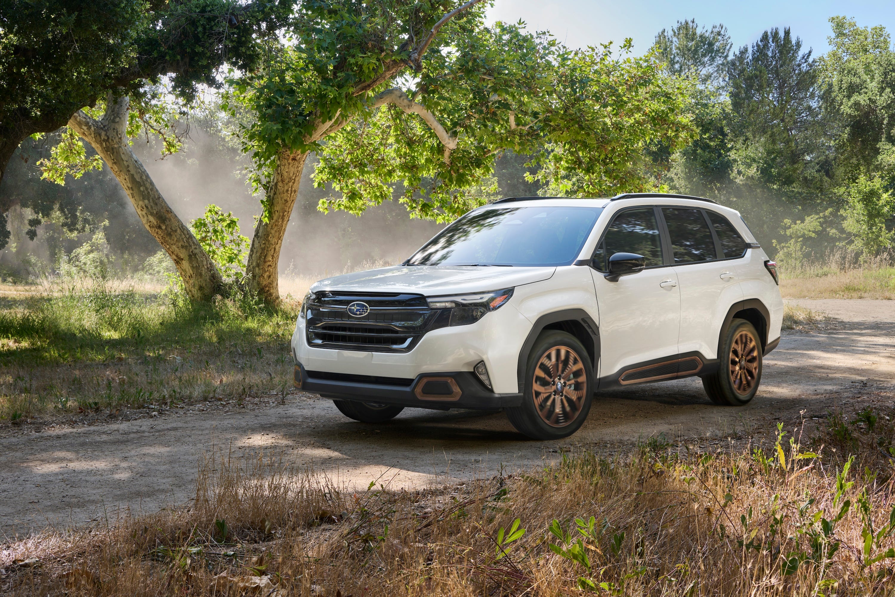 The 2025 Subaru Forester: Everything You Need to Know