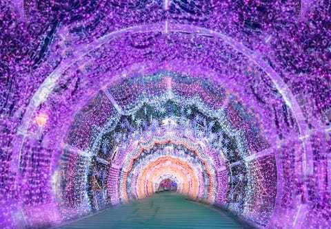 新北市政府觀光旅遊局 新北耶誕城-夢幻光廊