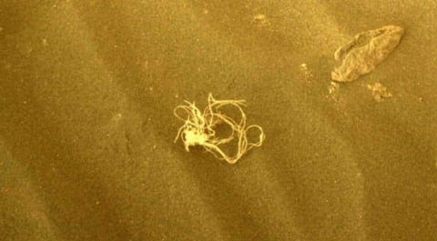 NASA solved the mystery of Martian spaghetti NASA