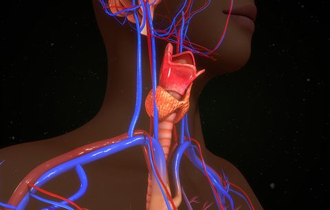 Underactive thyroid, dry skin