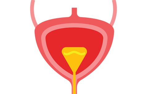 Weight loss meal plans online image 3