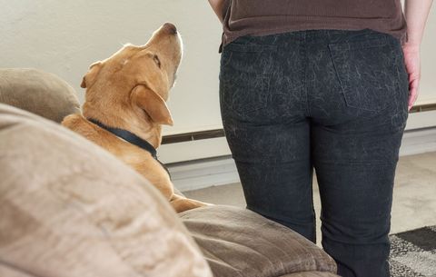 dog hair on womens jeans