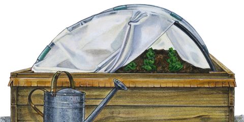 covered raised bed
